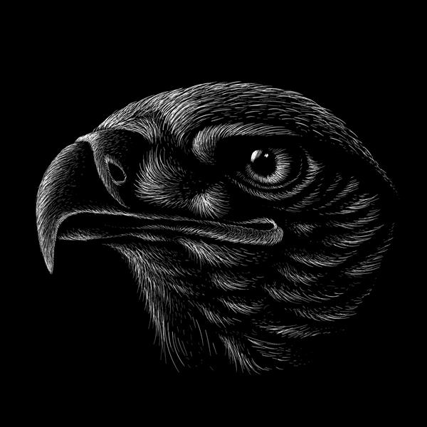 عقاب لوگوی وکتور برای طراحی خالکوبی یا تی شرت یا لباس بیشتر پس زمینه عقاب به سبک شکار این طراحی دستی برای پارچه یا بوم مشکی است