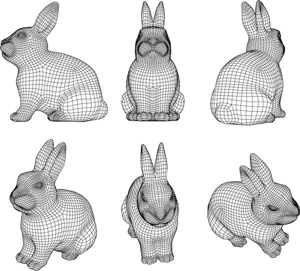 تصویر خطوط چند ضلعی خرگوش وکتور خرگوش در پس زمینه سفید