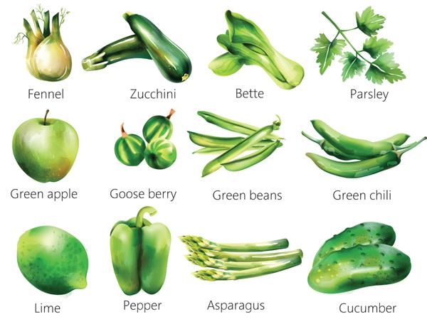 ست سبزیجات سبز به سبک آبرنگ رازیانه کدو سبز بته جعفری سیب توت غاز لوبیا فلفل قرمز لیموترش فلفل مارچوبه خیار بردار
