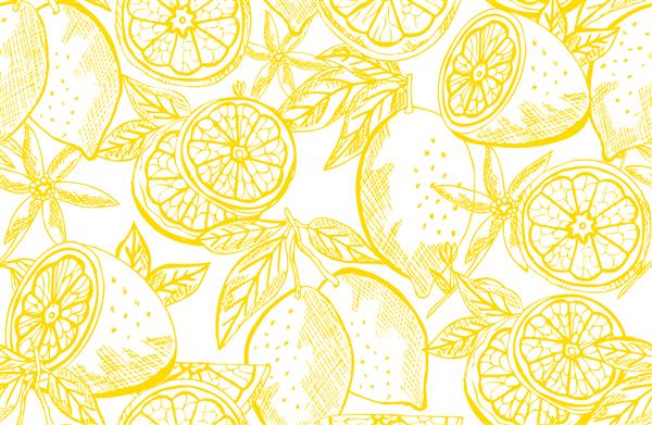 الگوی بدون درز زیبا با میوه های لیمو عناصر طراحی الگوی میوه برای دعوت نامه کارت چاپ بسته بندی هدیه تولید پارچه پارچه کاغذ دیواری غذا آشپزخانه تم گیاهی