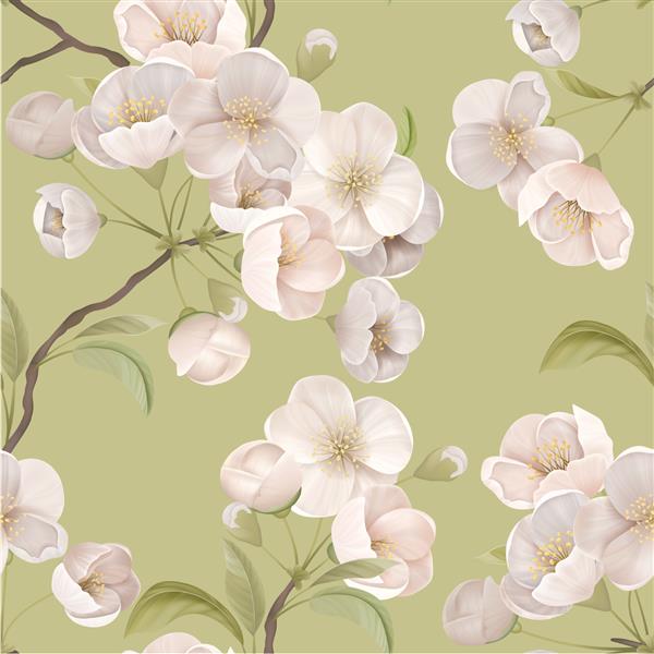 الگوی بدون درز ساکورا شکوفه های گیلاس سفید شکوفه با برگ ها و شاخه ها در زمینه سبز چاپ کاغذ یا پارچه زیبا تزئین کاغذ دیواری تزئینی تصویر برداری گیاه شناسی