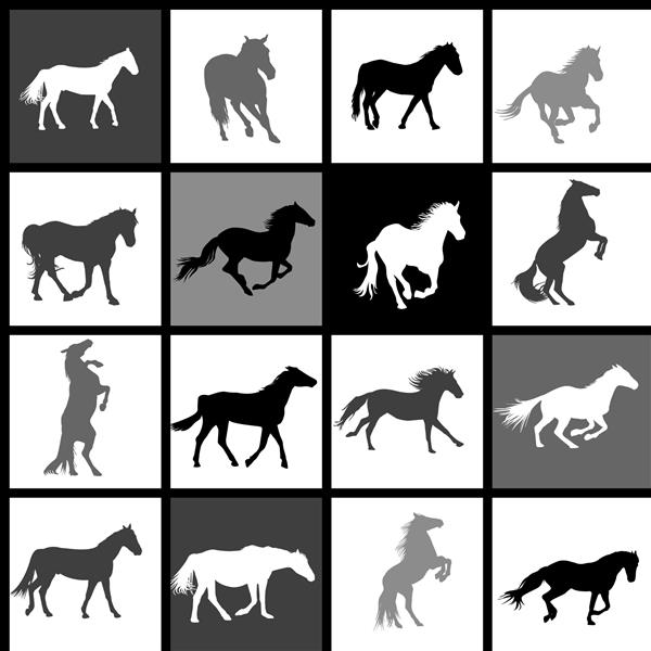 مجموعه ای از 16 اسب پس زمینه هر اسب در پس زمینه جداگانه گروه بندی می شود