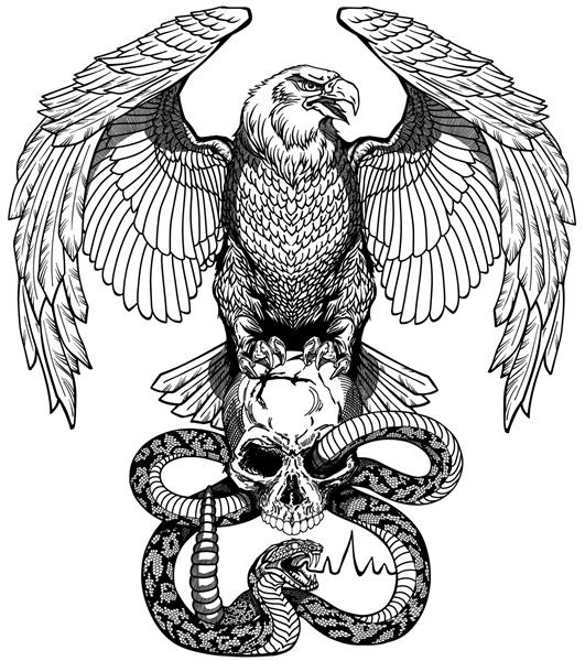 عقاب نشسته روی جمجمه انسان پیچیده شده با مار مار زنگی خطرناک عصبانی تصویر برداری به سبک طراحی تاتو یا پیراهن سیاه و سفید نمای جلویی