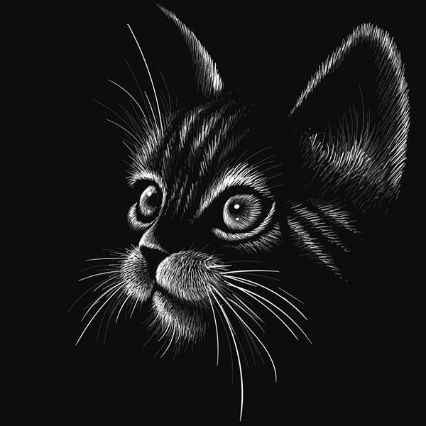 گربه لوگوی وکتور برای طراحی خالکوبی یا تی شرت یا لباس بیشتر پس زمینه گربه به سبک چاپ زیبا