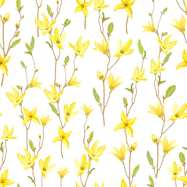 الگوی گل بدون درز با گل های زرد شکوفا و برگ های سبز شاخه های Forsythia وکتور تصویر بهار در زمینه سفید به سبک آبرنگ
