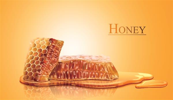 لانه زنبوری و عسل خالص شیرین در تصویر سه بعدی