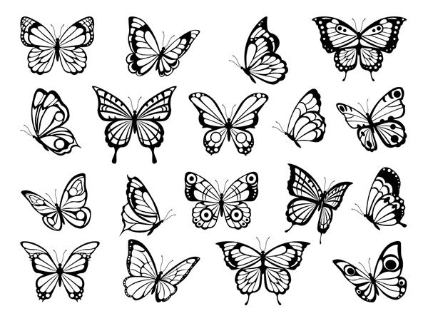 سیلوئت های پروانه ها عکس سیاه از پروانه های خنده دار شبح سیاه پروانه حشره حیوان زرق و برق دار بالدار تصویر برداری