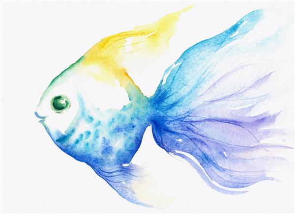 ماهی آبی نقاشی شده با آبرنگ