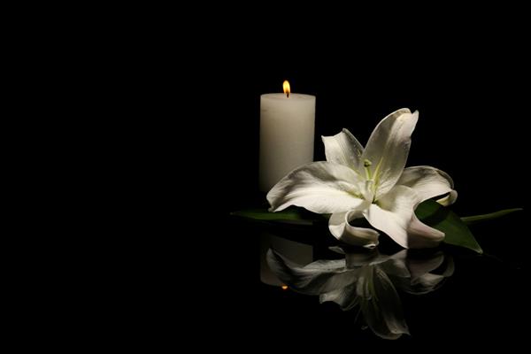 زنبق زیبا و شمع سوزان در پس زمینه تیره با فضایی برای متن گل تشییع جنازه
