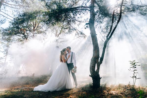 عروس و داماد در پس زمینه مه پری در جنگل مفهوم عروسی روستایی