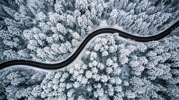 جاده بادخیز منحنی در جنگل پوشیده از برف نمای هوایی از بالا به پایین