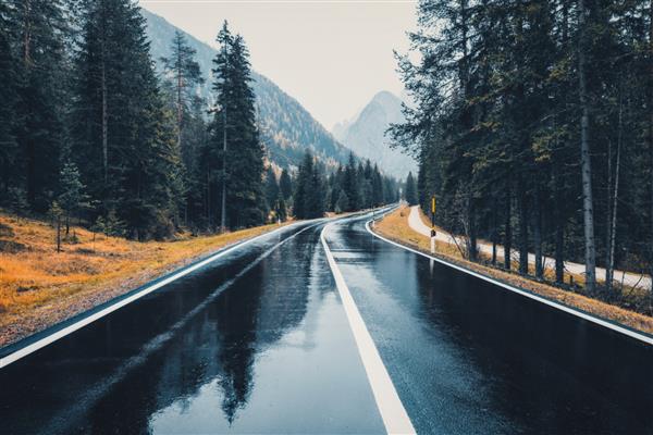 جاده در جنگل پاییزی در باران جاده کوهستانی آسفالته عالی در روز بارانی ابری جاده با انعکاس و درختان کاج در کوه‌های ایتالیایی حمل و نقل بزرگراه خالی در جنگل مه آلود سفر