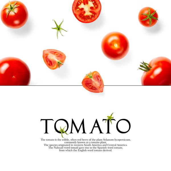 طرح خلاقانه ساخته شده از گوجه فرنگی در پس زمینه سفید مجموعه ای از گوجه فرنگی های تخت خلاقانه با متن ساده در پس زمینه سفید فضای کپی
