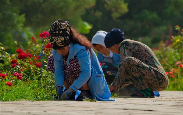 دوشنبه تاجیکستان 07 آگوست 2019 زنان با لباس ملی در پارک رودکی شهر بوته های گل رز را نجیب می بخشند و تمیزی ایجاد می کنند