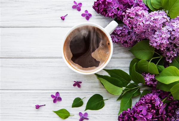 یاس بنفش و فنجان قهوه به سبک مسطح در زمینه چوبی سفید بهار زیبا نمای بالای سر تخت دراز بالا فصل تابستان سبک بهار طبیعی