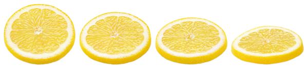 مجموعه ای از میوه مرکبات لیموی تکه شده دراز کشیده جدا شده در پس زمینه سفید برش های لیمو در ردیف با مسیر برش عمق میدان کامل