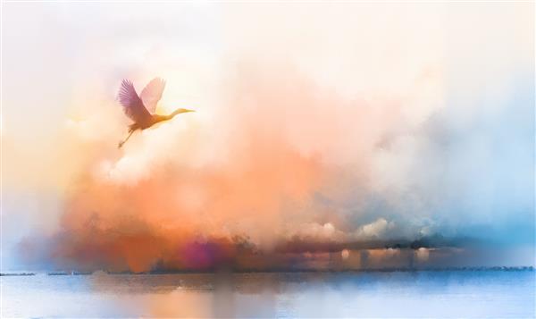 تصویرسازی هنر نقاشی حیوان رنگارنگ پرنده در طبیعت پس زمینه پاییز فصل تابستان تصویر انتزاعی از پرواز غاز سفید در آسمان با رنگ آبرنگ حیات وحش و منظره بیرونی