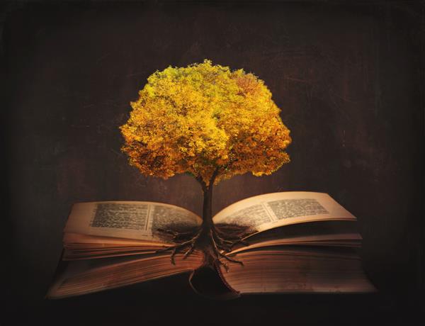کتاب زندگی دانش خرد - درخت کهنسال و ریشه های آن در صفحات باز یک کتاب جادویی