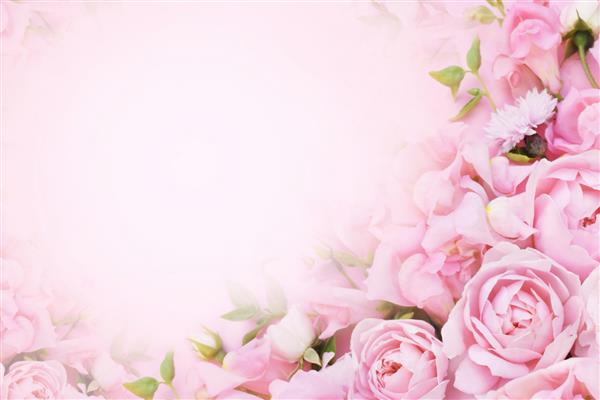 قاب گل رز صورتی و سفید ظریف شکوفه پس‌زمینه جشن پاستلی گل‌های شکوفه‌دار کارت گل‌دار دسته‌گل نرم رنگ‌آمیز