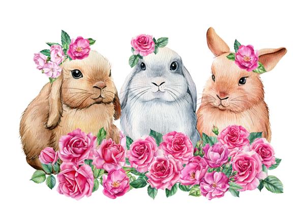 خرگوش های بهاری با گل های صورتی در پس زمینه جدا شده سفید تصویر آبرنگ