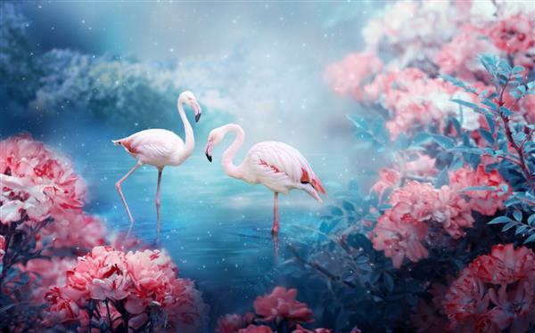 دو زوج فلامینگو در دریاچه ایستاده اند منظره افسانه ای جادویی فانتزی با جفت پرنده زیبا باغ گل رز صورتی شکوفه افسانه ای در پس زمینه آبی مرموز در شب