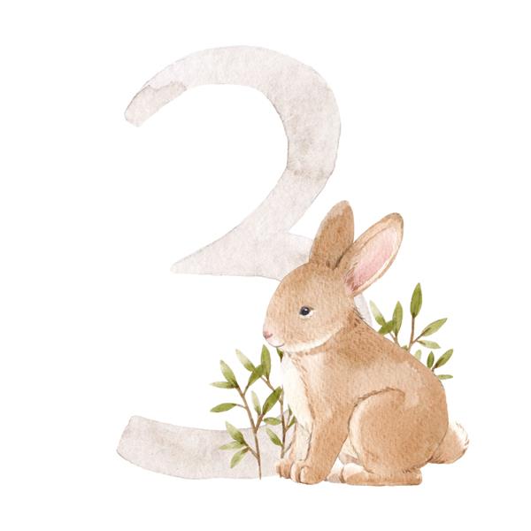 تصویر استوک زیبا با نقاشی دستی آبرنگ شماره 3 و حیوان خرگوش ناز برای کلیپ هنری کودک سه ماه سال
