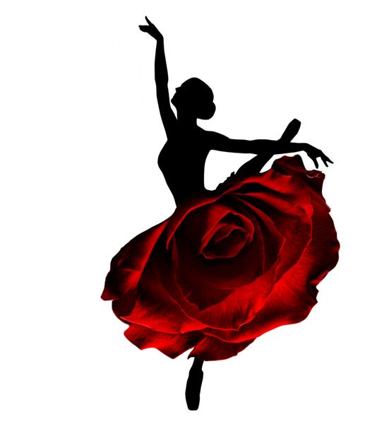 سیلوئت سیاه بالرین رقصنده باله در حال پریدن با دامن توتو در نقش رز سرخ زنی در حال رقصیدن با لباس هنری فانتزی خلاقانه به رنگ سفید جدا شده از گل