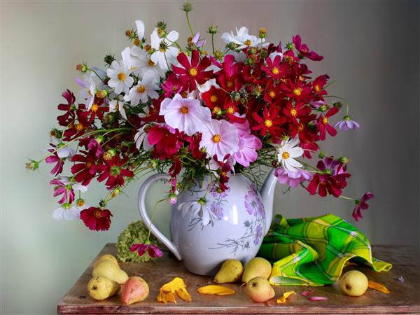 یک دسته گل زیبا با Cosmei در یک گلدان با آب و گلابی روی میز