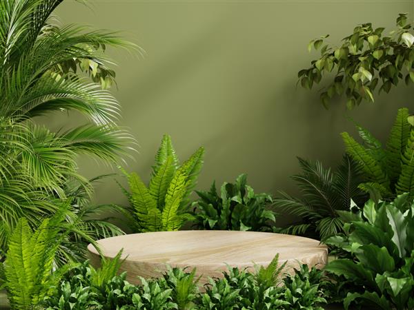 پایه چوبی دایره ای در جنگل استوایی برای ارائه محصول و دیوار سبز رندر سه بعدی