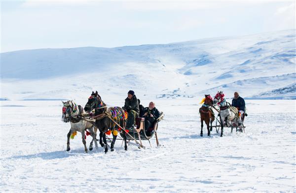 کارس - ترکیه - 31 ژانویه سورتمه توسط اسب در دریاچه یخ زده کشیده شده است تفریح زمستانی سنتی ترکیه نمای دریاچه چیلدیر در پس زمینه در 31 ژانویه 2014 در دریاچه چیلدیر کارس ترکیه گرفته شده است