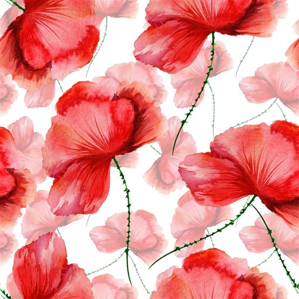گل های خشخاش آبرنگ در طرحی بدون درز قابل استفاده به عنوان پارچه کاغذ دیواری بسته بندی