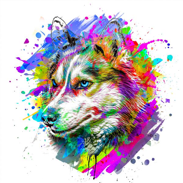 سر سگ هاسکی با عناصر انتزاعی رنگارنگ خلاقانه در زمینه سفید