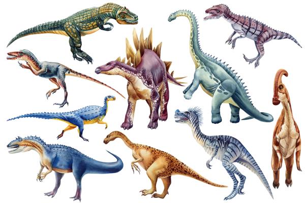 دایناسور واقعی جدا شده در پس زمینه سفید مجموعه تصویری دایناسورها با آبرنگ نقاشی شده با دست