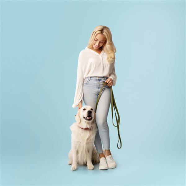 مفهوم دوستی زن شادی که با سگ لابرادور شادش روی افسار ژست گرفته به حیوان خانگی خود نگاه می‌کند که روی دیوار پس‌زمینه آبی استودیو ایستاده است طول تمام بدن