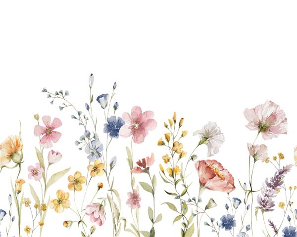 حاشیه بدون درز گلدار آبرنگ قاب نقاشی شده با دست از برگ های سبز گل های وحشی گل های مزرعه جدا شده در زمینه سفید تصویرسازی برای طراحی چاپ پس زمینه