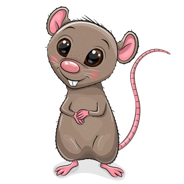 موش کارتونی ناز جدا شده در پس زمینه سفید