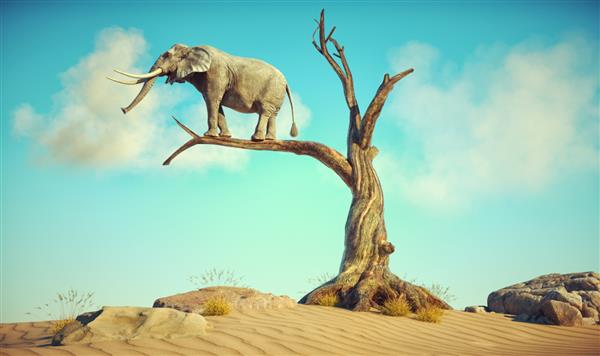 فیل در منظره ای سورئال روی شاخه نازک درخت پژمرده ایستاده است این یک تصویر رندر سه بعدی است