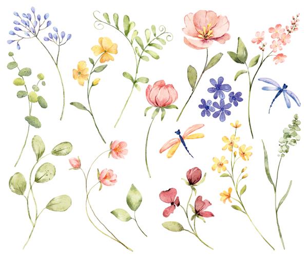 تصویرسازی دیجیتالی گل و برگ طرح بهار نقاشی دستی با آبرنگ کاملاً برای چاپ سابلیمیشن