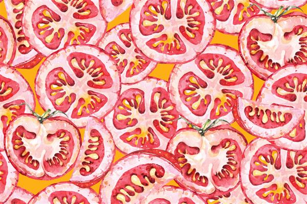 الگوی بدون درز گوجه فرنگی با آبرنگپس زمینه سبزیجاتگوجه فرنگی ارگانیک تازه قرمز رسیدهزمینه گیاه شناسی گیاهیمناسب برای طراحی الگوهای پارچه یا کاغذ دیواری