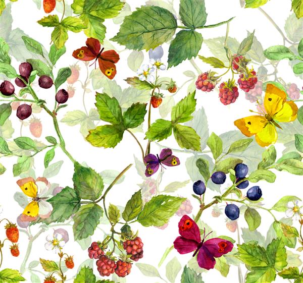 گیاهان وحشی پروانه ها و انواع توت ها تمشک توت فرنگی زغال اخته الگوی چمنزار بدون درز آبرنگ