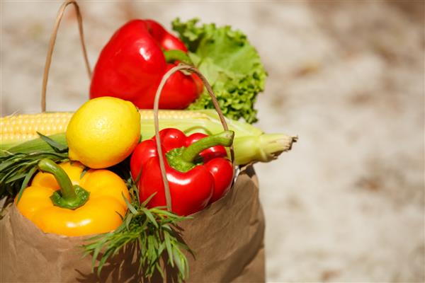 سبزیجات تازه غذای ارگانیک سبزیجات خام رنگارنگ مختلف سبزیجات تازه زیستی در بسته بندی بیش از پس زمینه طبیعت ذرت ارگانیک فلفل و سالاد سبز تغذیه سالم تمرکز انتخابی