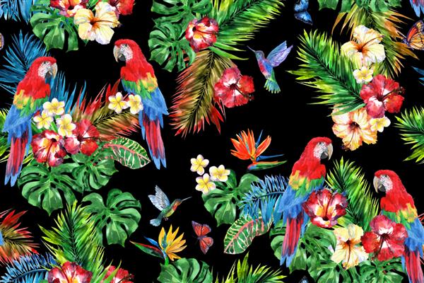 الگوی غنی استوایی با پرندگان عجیب و غریب پروانه های پروازی Monarch یک زوج طوطی ماکائو و گل ها و گیاهان استوایی الگوی بدون درز گل های عجیب و غریب با پرندگان بهشتی در پس زمینه سیاه