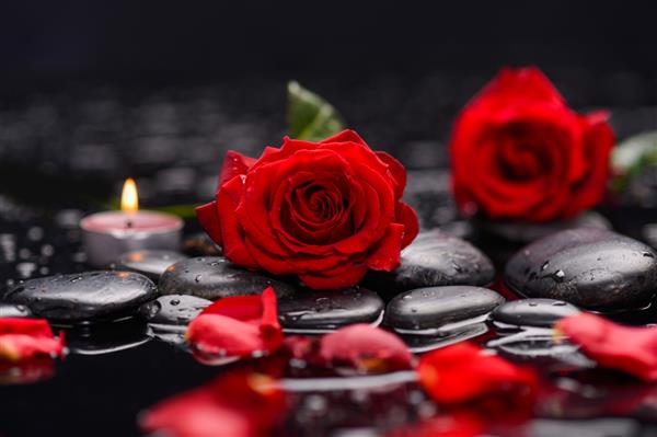 گل رز قرمز زیبا گلبرگ با شمع و سنگ های درمانی