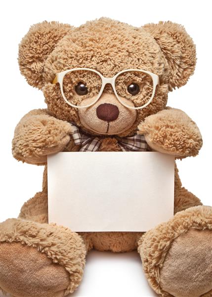 خرس عروسکی در عینک با بنر خالی