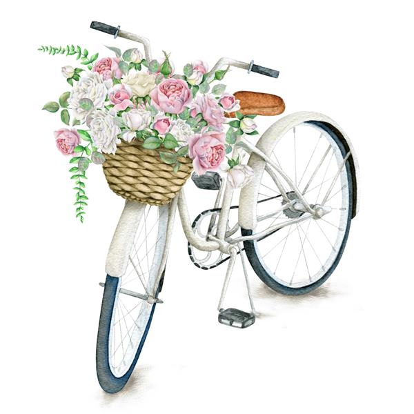 دوچرخه آبرنگ سفید با سبد گل زیبا جدا شده در پس زمینه سفید