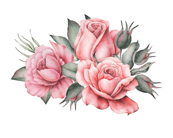 ترکیبی جذاب از گل و برگ با آبرنگ نقاشی شده با دست جدا شده در زمینه سفید