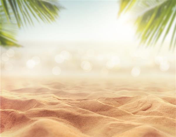 شن و ماسه با نخل تار و پس زمینه بوکه ساحل استوایی مفهوم تعطیلات تابستانی و سفر فضای کپی