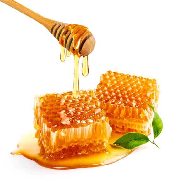 لانه زنبوری شیرین و دیپر چوبی با چکیدن عسل جدا شده در زمینه سفید محصولات زنبور عسل با مفهوم مواد طبیعی ارگانیک