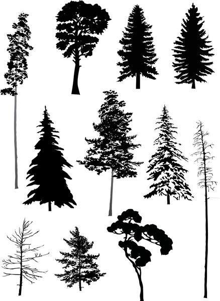 تصویر با درختان مجموعه ای جدا شده در پس زمینه سفید