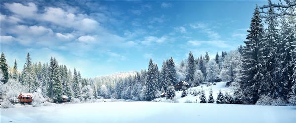 جنگل زمستانی در Carpathians در دریاچه ویتو